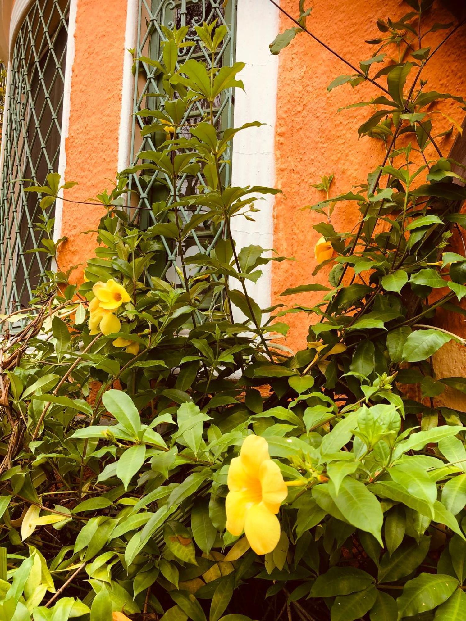 Casa Moinhos De Vento Vintage * Porto Alegre