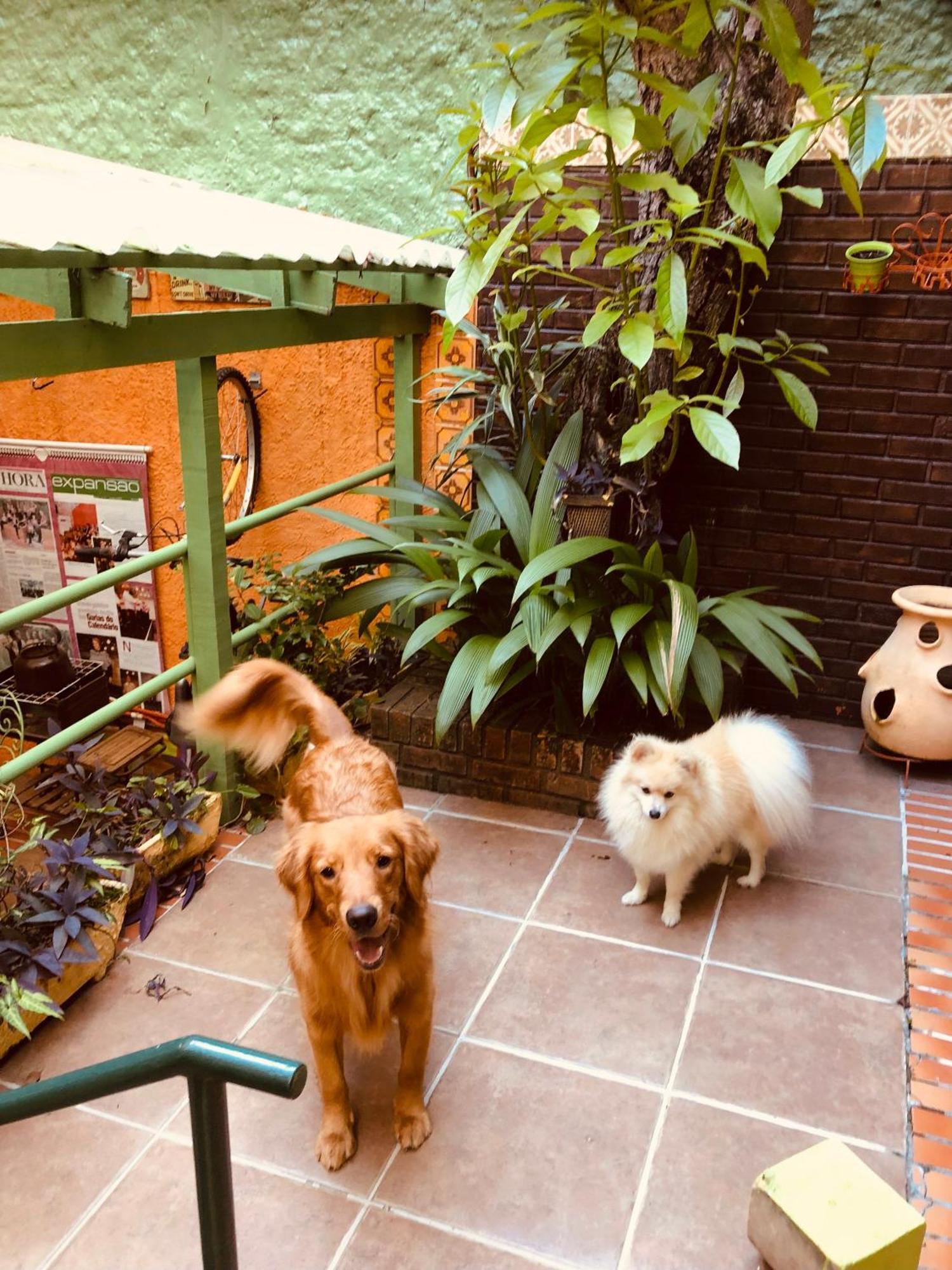 Casa Moinhos De Vento Vintage